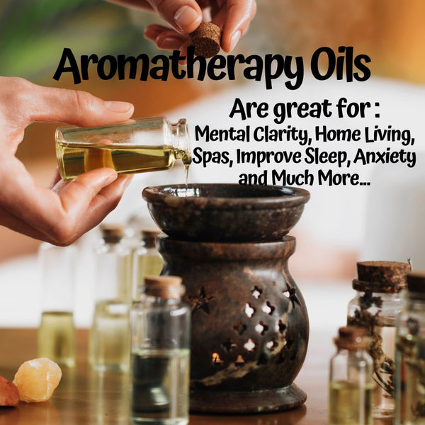 Aspen Winter Home Fragrance Diffuser Warmer Aromatherapy Burning Oil