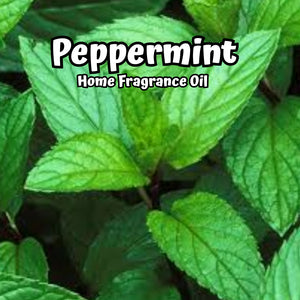 Peppermint Home Fragrance Diffuser Warmer Aromatherapy Burning Oil