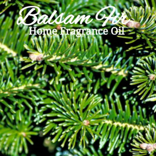 Balsam Fir Home Fragrance Diffuser Warmer Aromatherapy Burning Oil