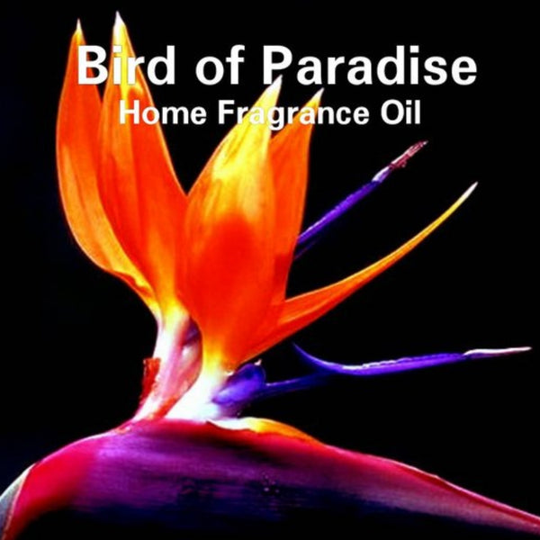 Bird of Paradise Home Fragrance Diffuser Warmer Aromatherapy Burning Oil