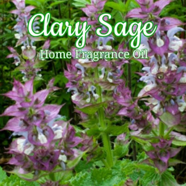Clary Sage Home Fragrance Diffuser Warmer Aromatherapy Burning Oil