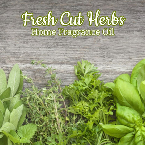 Fresh Cut Herbs Home Fragrance Diffuser Warmer Aromatherapy Burning Oil