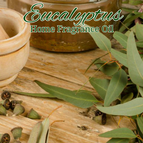 Eucalyptus Home Fragrance Diffuser Warmer Aromatherapy Burning Oil