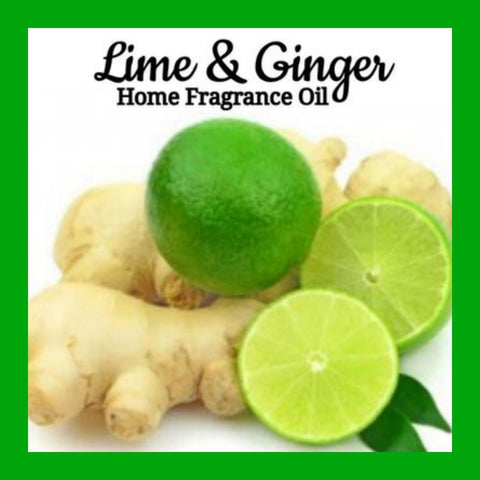 Lime Ginger Home Fragrance Diffuser Warmer Aromatherapy Burning Oil