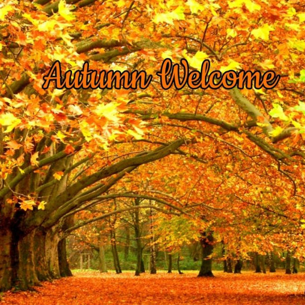 Autumn Welcome Candle/Bath/Body Fragrance Oil