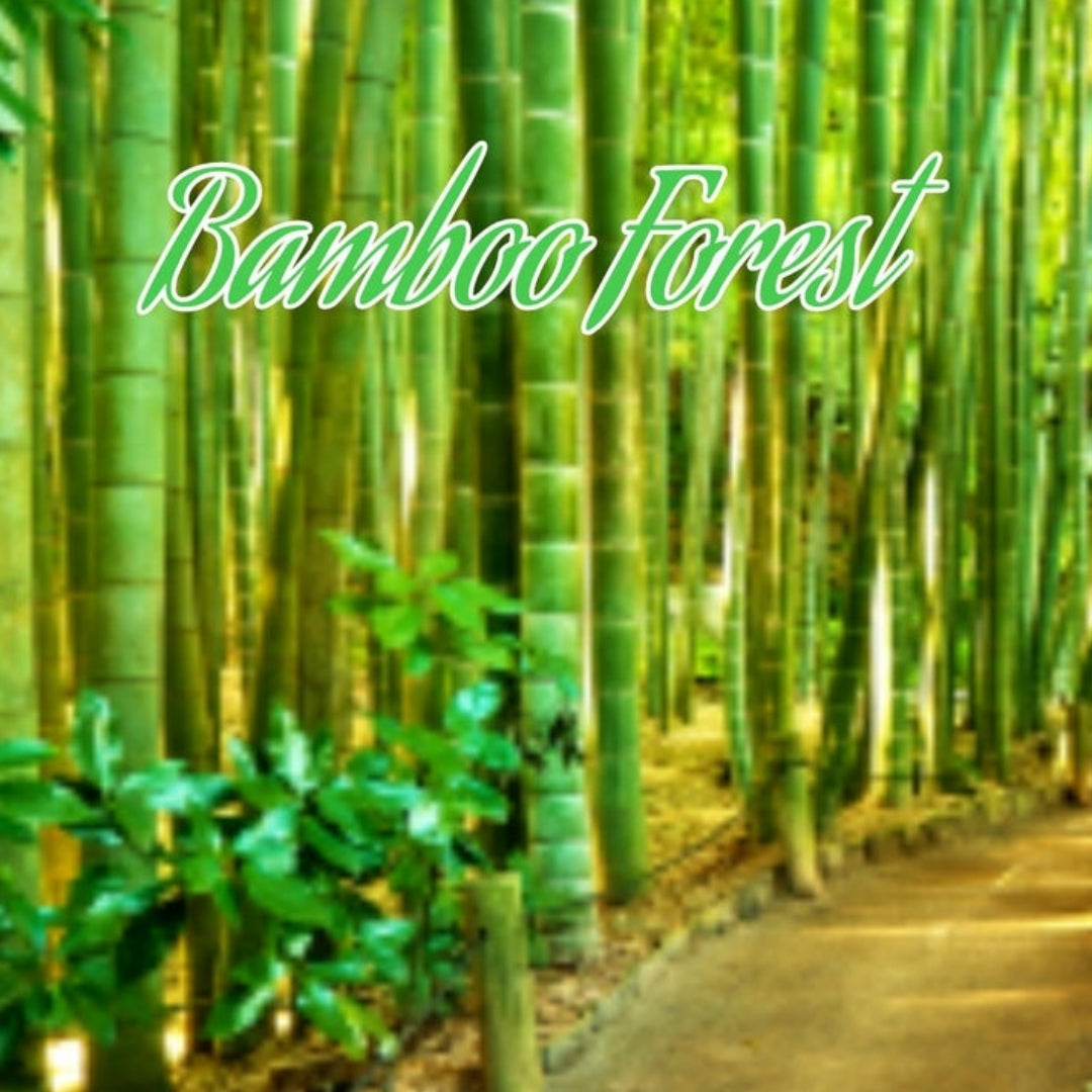 Bamboo Forest Candle/Bath/Body Fragrance Oil
