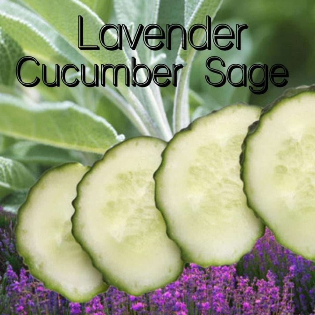 Lavender Cucumber Sage Candle/Bath/Body Fragrance Oil