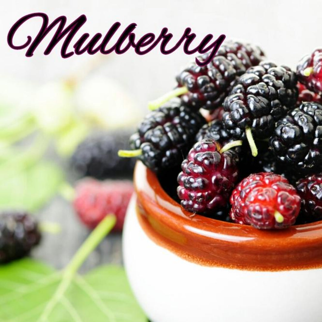 Mulberry Candle/Bath/Body Fragrance Oil