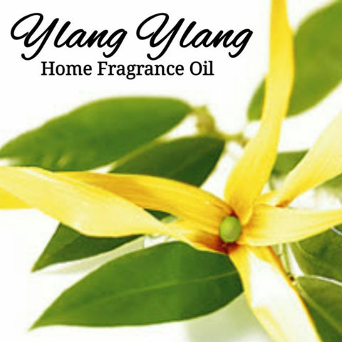 Ylang Ylang Home Fragrance Diffuser Warmer Aromatherapy Burning Oil