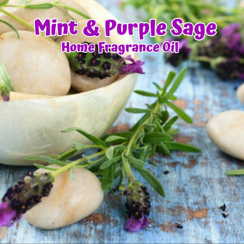 Mint and Purple Sage Home Fragrance Diffuser Warmer Aromatherapy Burning Oil