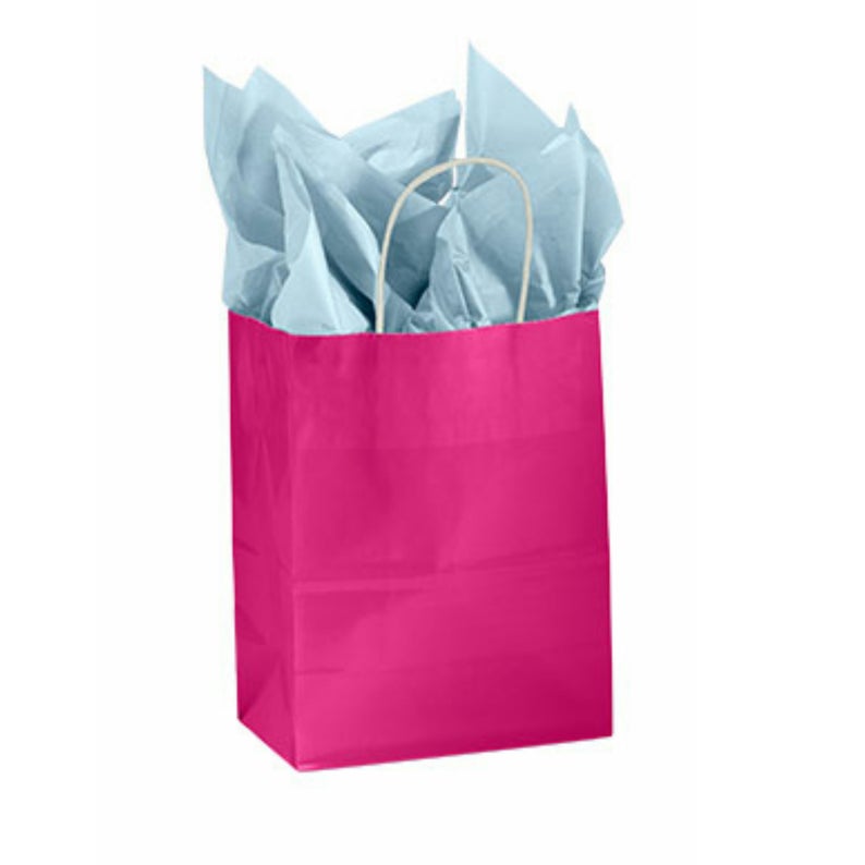 Fuchsia Gloss Paper Kraft Handle Party Favor Wedding Gift Bags - Set of 25